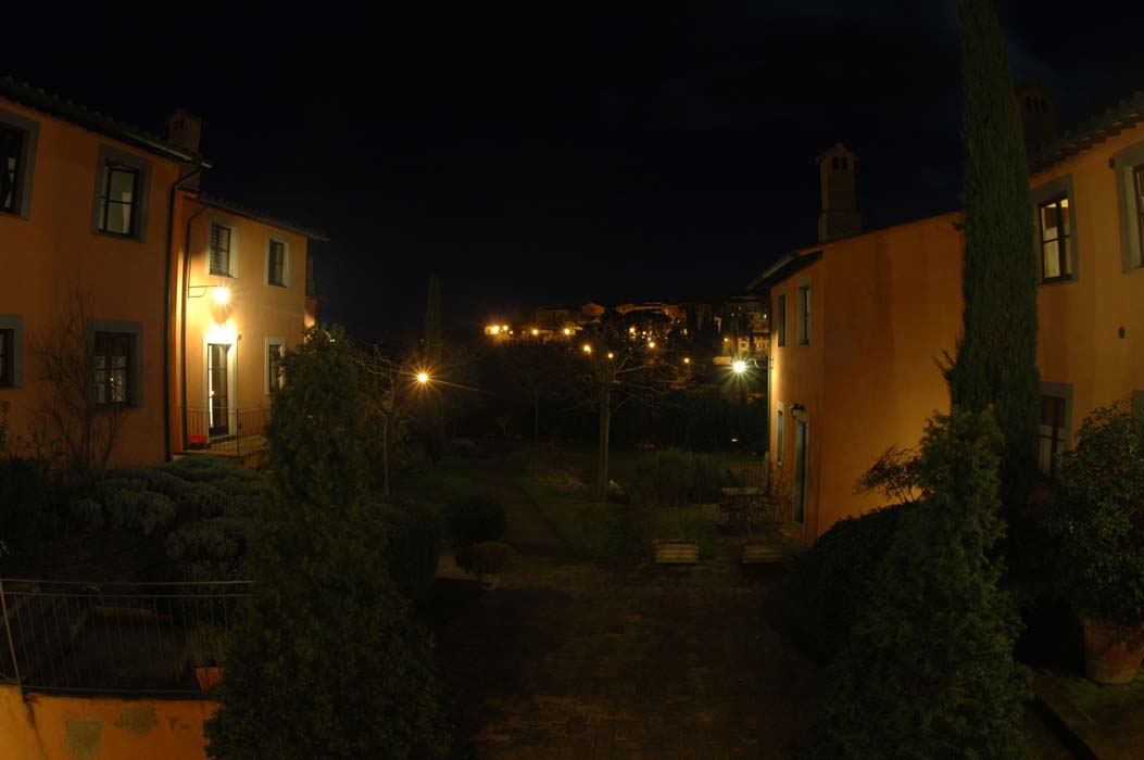 DSC 1462