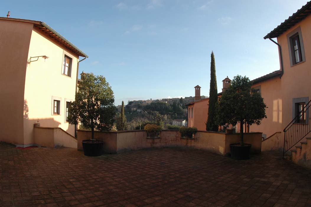 DSC 1487