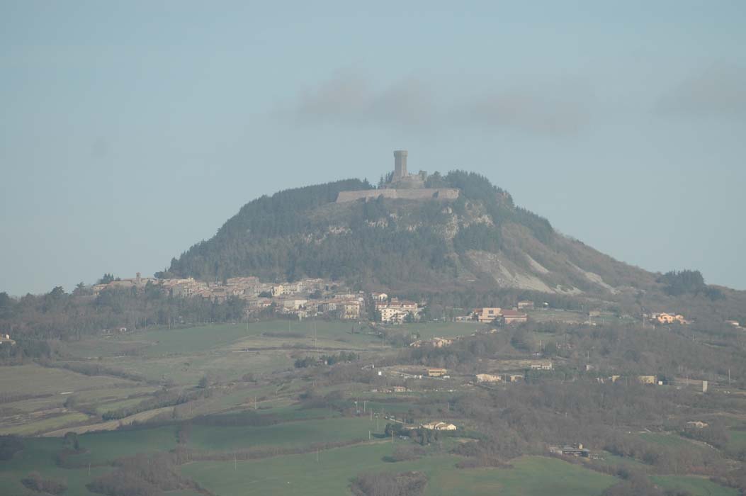 DSC 1493
