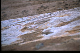 Click on one of the size names above to enlarge this image Click on one of the size names above to enlarge this image