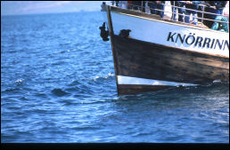 Click on one of the size names above to enlarge this image Click on one of the size names above to enlarge this image