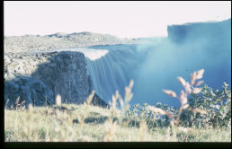 Click on one of the size names above to enlarge this image Click on one of the size names above to enlarge this image