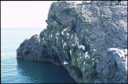 Click on one of the size names below to enlarge this image