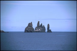Click on one of the size names above to enlarge this image Click on one of the size names above to enlarge this image