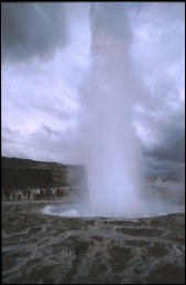 Click on one of the size names above to enlarge this image Click on one of the size names above to enlarge this image