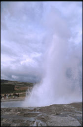 Click on one of the size names above to enlarge this image Click on one of the size names above to enlarge this image
