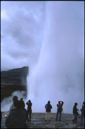 Click on one of the size names above to enlarge this image Click on one of the size names above to enlarge this image