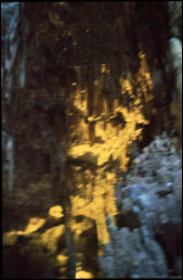 Click on one of the size names above to enlarge this image Click on one of the size names above to enlarge this image