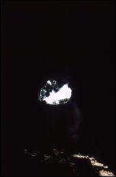 Click on one of the size names above to enlarge this image Click on one of the size names above to enlarge this image