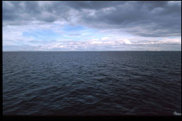 Click on one of the size names above to enlarge this image Click on one of the size names above to enlarge this image
