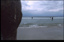 Click on one of the size names above to enlarge this image Click on one of the size names above to enlarge this image