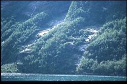 Click on one of the size names above to enlarge this image Click on one of the size names above to enlarge this image