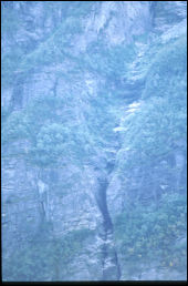 Click on one of the size names above to enlarge this image Click on one of the size names above to enlarge this image