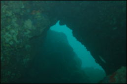 Click on one of the size names above to enlarge this image Click on one of the size names above to enlarge this image